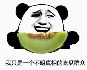 吃瓜群众没当成