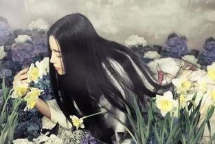 白木吃瓜小说,揭秘娱乐圈背后的秘密与真相