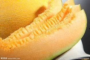 哈密瓜煮热吃,热煮美味，尽享瓜香四溢