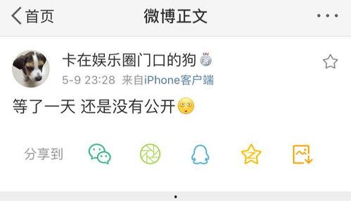 吃瓜爆料语音播放,语音播放背后的故事