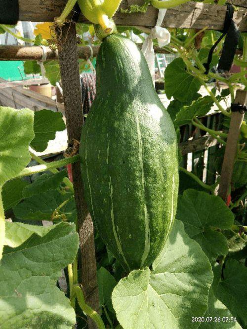 刀吃瓜爆料,揭秘娱乐圈幕后真相