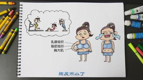 吃瓜少女讲知识