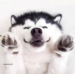 红脸吃瓜视频素材