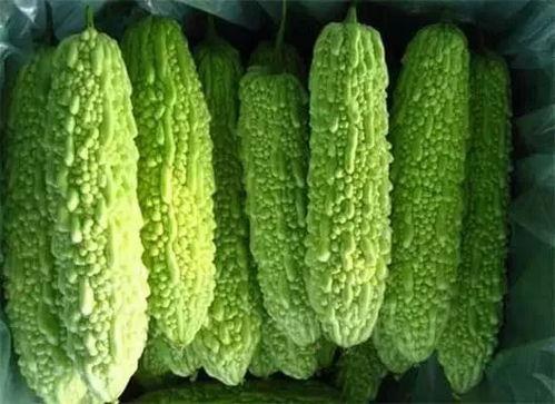 南宁朝阳吃瓜事件,一场网络热议背后的真相与反思