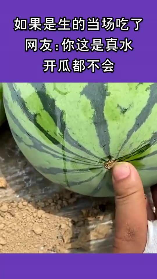 吃瓜与交朋友