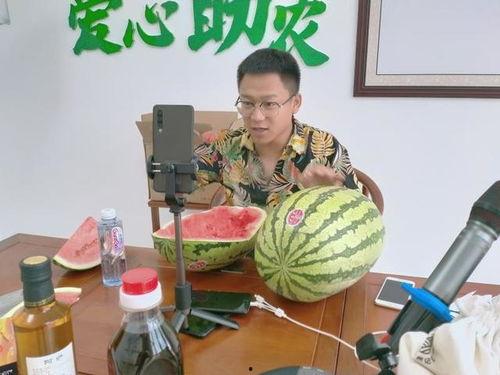 电商花式吃瓜宁夏,宁夏美食狂欢盛宴