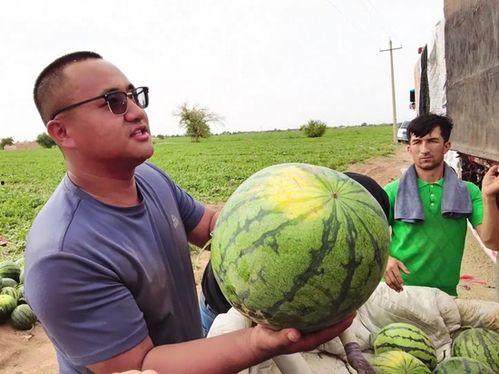 戴夫吃瓜,一场味蕾与历史的碰撞