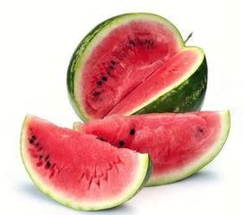 什么动物喜欢吃甜酸角瓜,蜜蜂钟爱的甜蜜诱惑