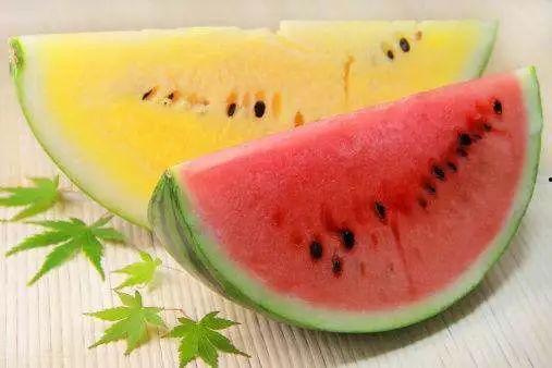 吃瓜之品,揭秘吃瓜之品的魅力与秘密