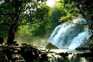 小溪边避暑吃瓜,瓜香四溢的夏日时光